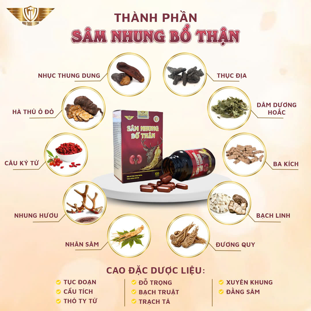 Sâm Nhung Bổ Thận Kingphar , Bổ Thận Tráng Dương, Tăng Cường Sinh Lý Nam Giới, Hộp 60 Viên